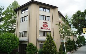 Хотел Кърджали